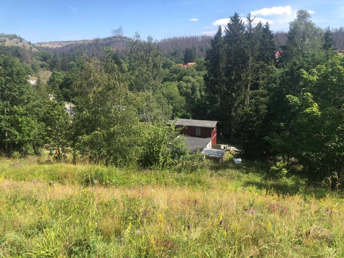 Ferienhaus Am Hahnenkopf Rubeland Buitenkant foto